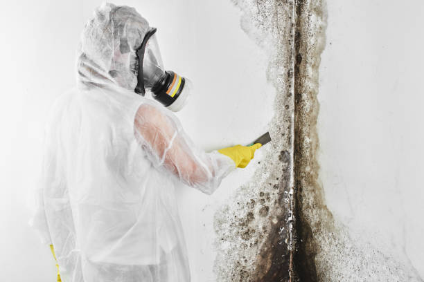 Water Damage Restoration in Shelby, MI