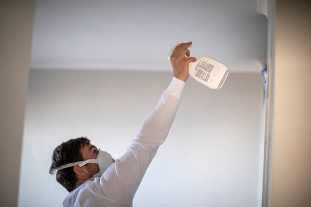 Best Black Mold Removal  in Shelby, MI