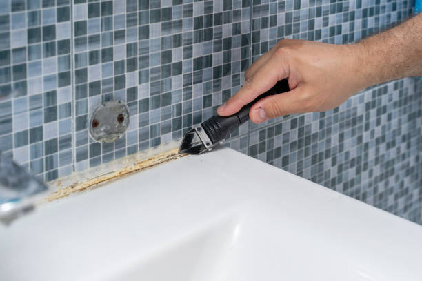 Mold Removal and Inspection in Shelby, MI