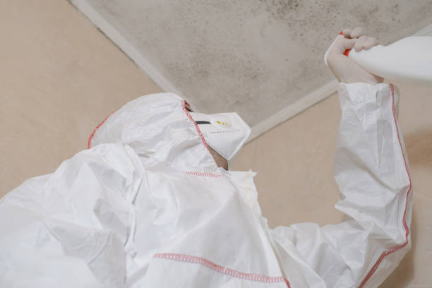 Best Mold Cleaning Services  in Shelby, MI